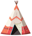 Native American Flag