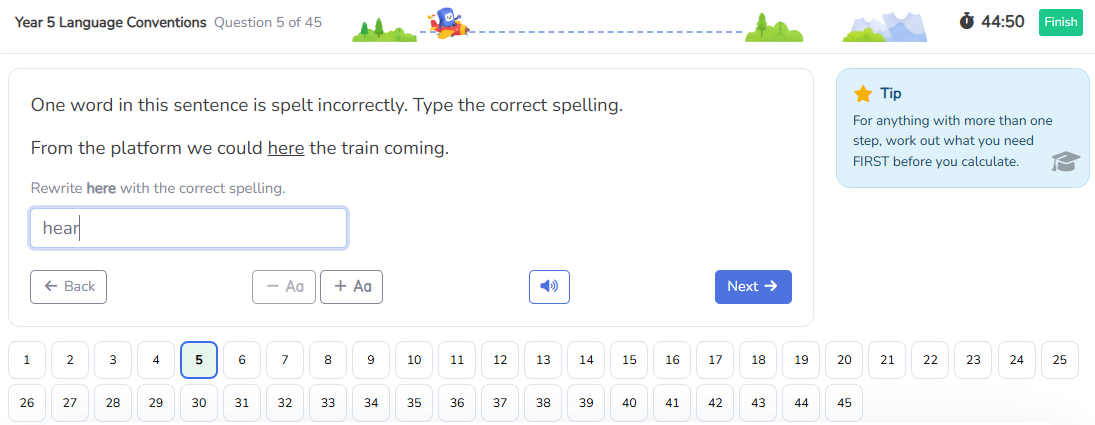 Litzi NAPLAN-style practice tests - Language Conventions